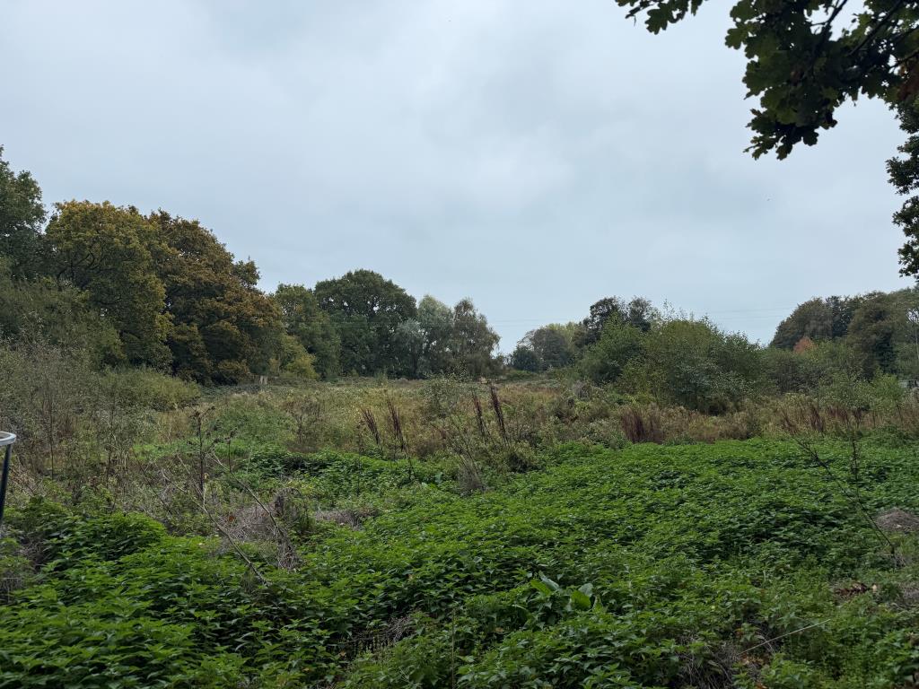 Lot: 102 - FREEHOLD PARCEL OF LAND WITH POTENTIAL - Field